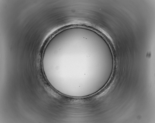 X0000091171021200708091019