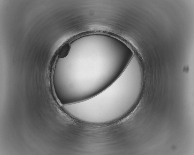 X0000091171022200708091019
