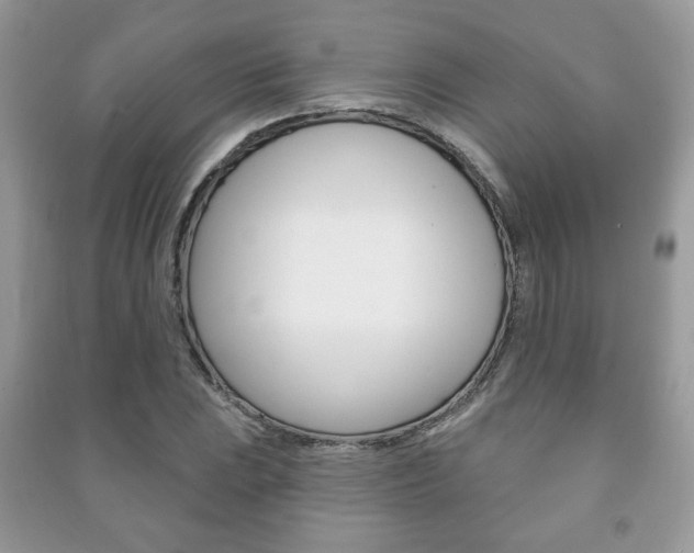 X0000091171023200708091019