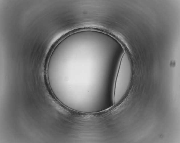 X0000091171024200708091019