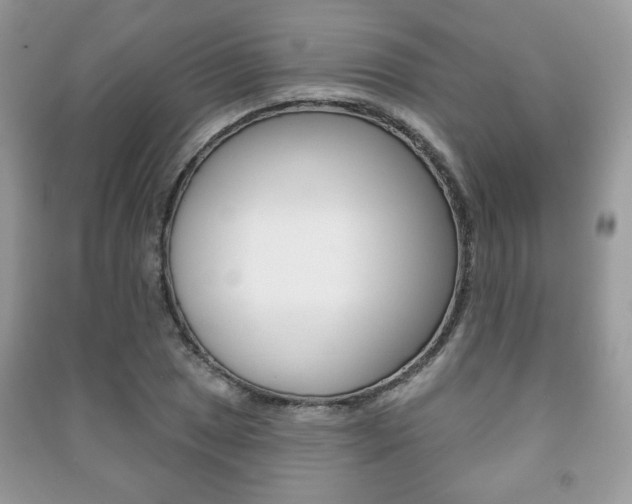 X0000091171025200708091019