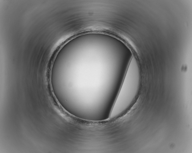 X0000091171026200708091019
