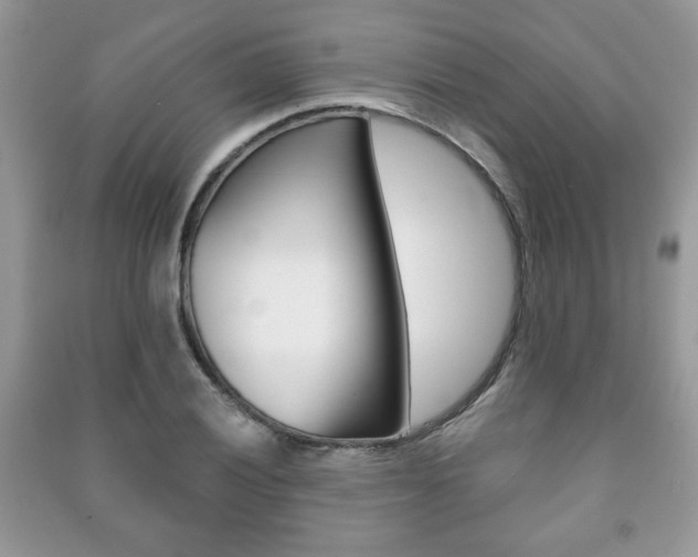 X0000091171028200708091019