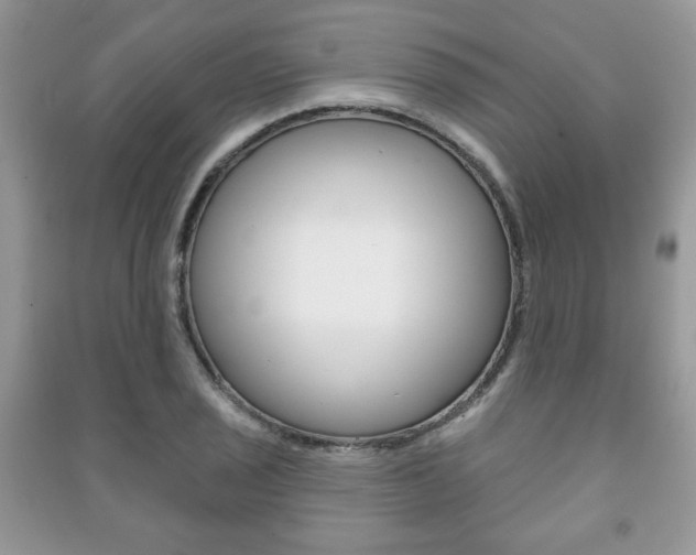 X0000091171029200708091019