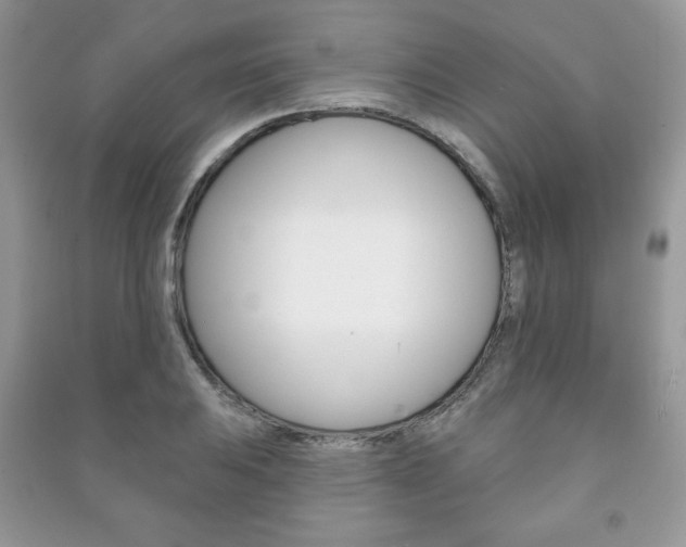 X0000091171031200708091019