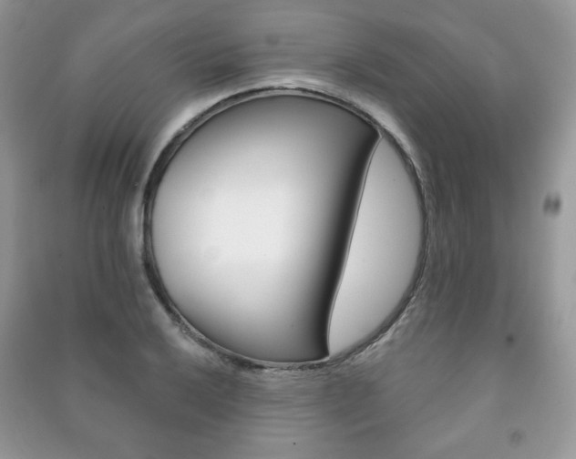 X0000091171032200708091019
