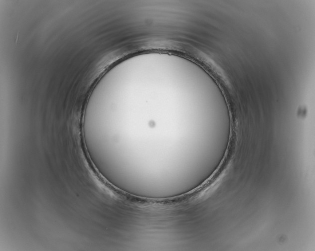X0000091171033200708091019