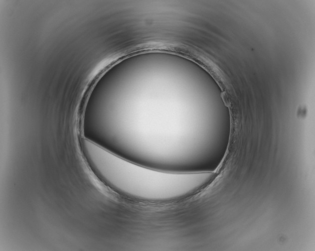 X0000091171034200708091019