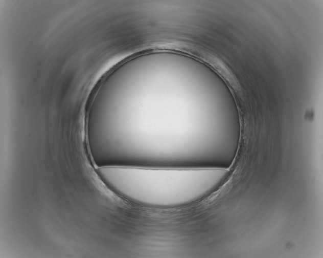 X0000091171036200708091019
