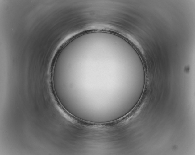 X0000091171037200708091019