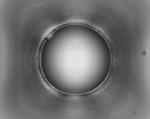 X0000091171038200708091019