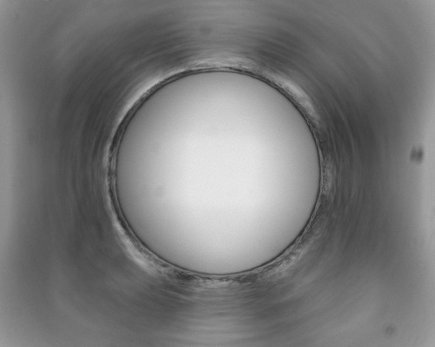 X0000091171039200708091019
