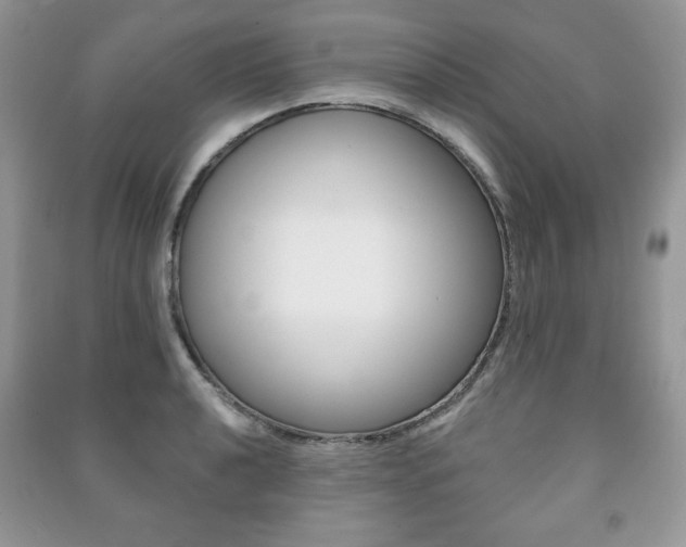 X0000091171040200708091019
