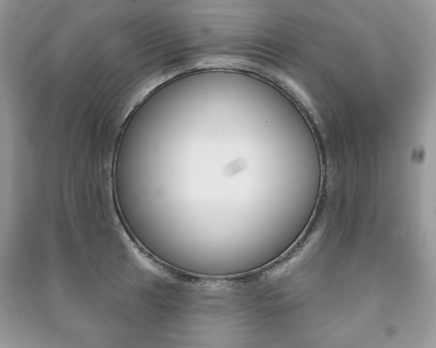 X0000091171041200708091019