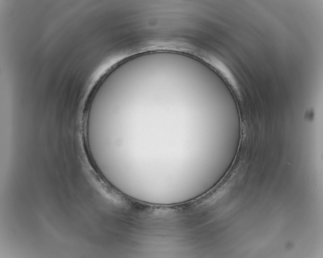 X0000091171043200708091019