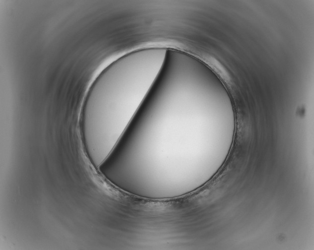 X0000091171044200708091019