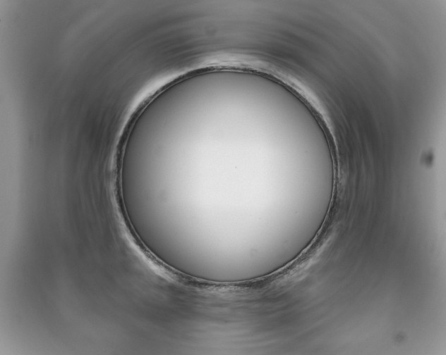 X0000091171045200708091019