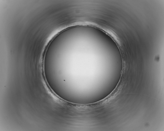 X0000091171046200708091019