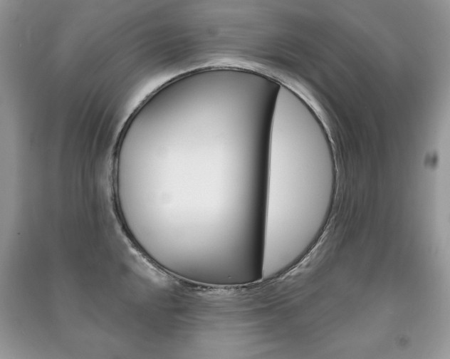 X0000091171048200708091019