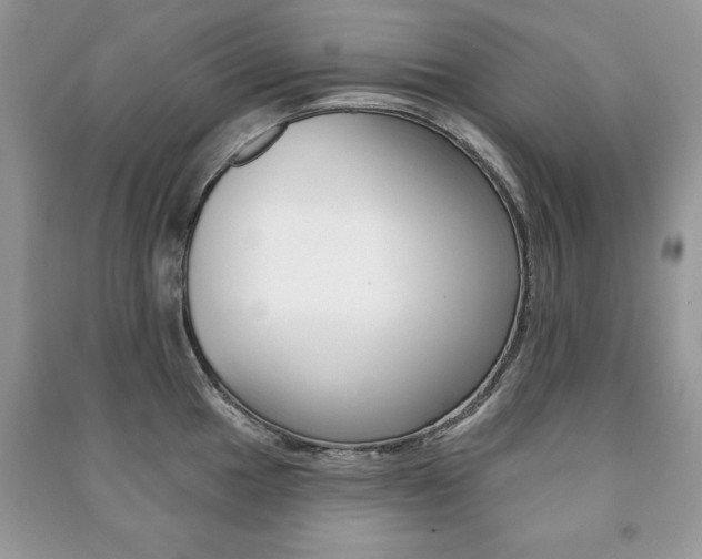 X0000091171049200708091019
