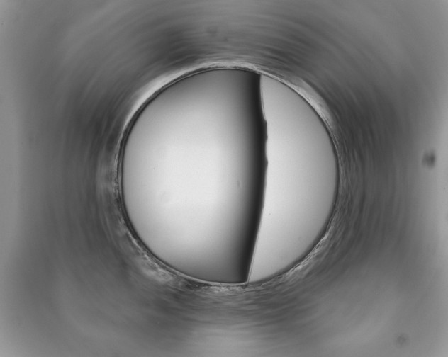 X0000091171052200708091019