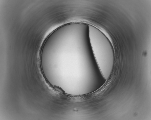 X0000091171053200708091019