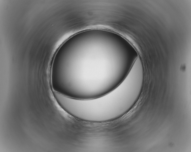 X0000091171054200708091019