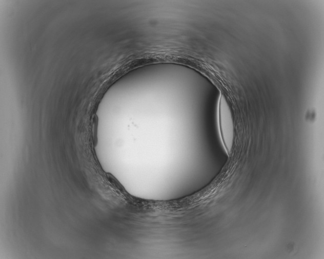 X0000091171057200708091019