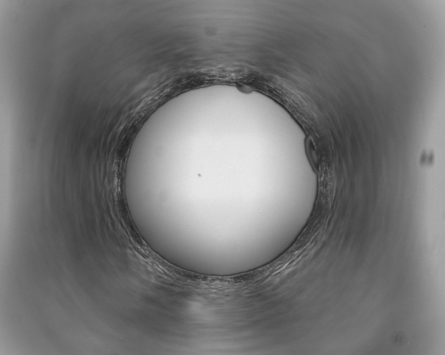 X0000091171058200708091019