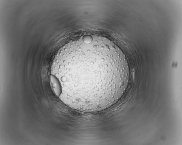 X0000091171059200708091019