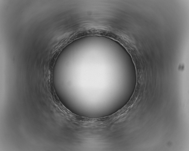 X0000091171061200708091019