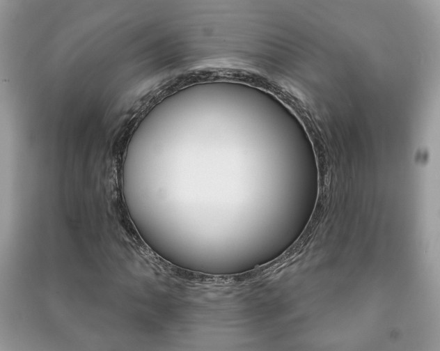 X0000091171062200708091019