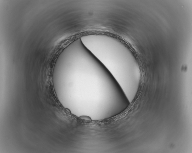 X0000091171063200708091019