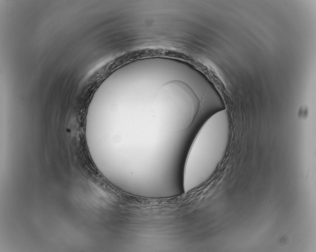 X0000091171064200708091019