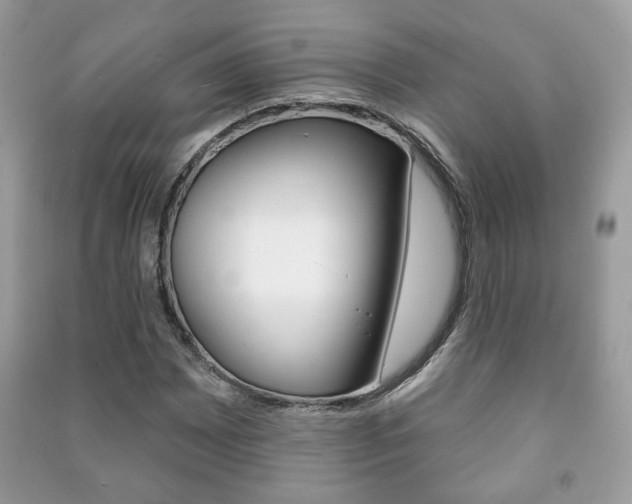 X0000091171065200708091019