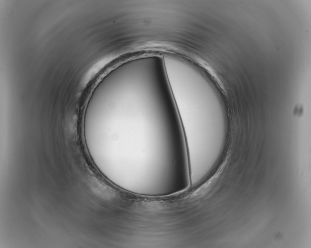 X0000091171066200708091019