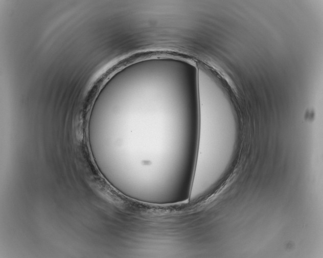 X0000091171069200708091019