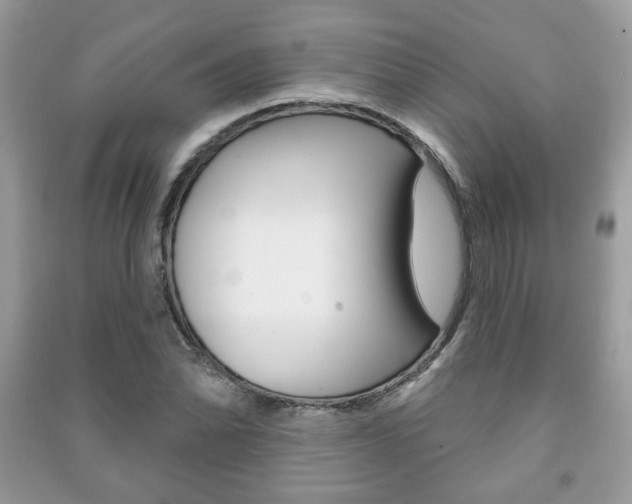 X0000091171070200708091019