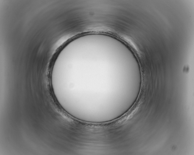 X0000091171071200708091019