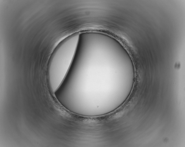 X0000091171073200708091019