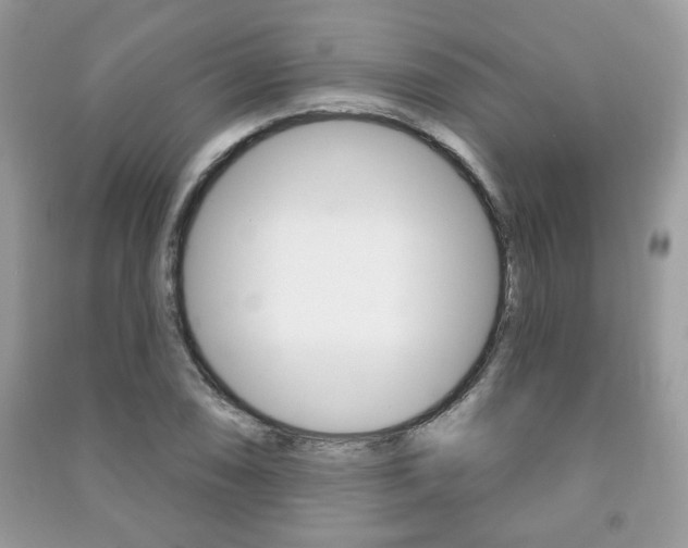 X0000091171074200708091019