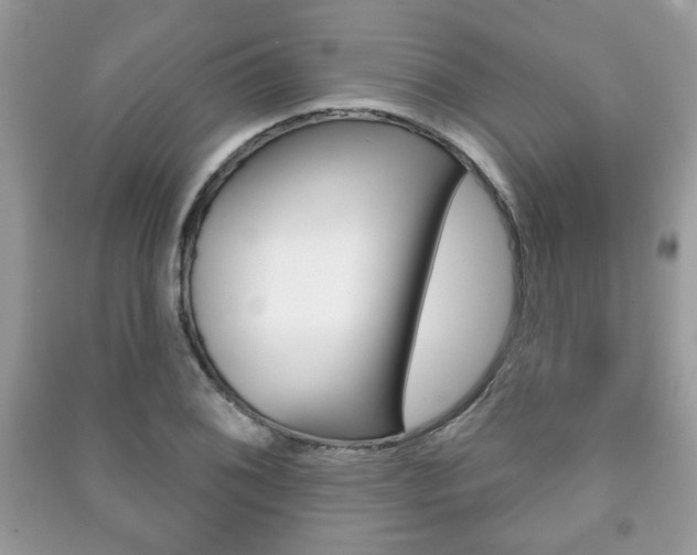 X0000091171076200708091019