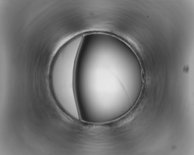 X0000091171077200708091019