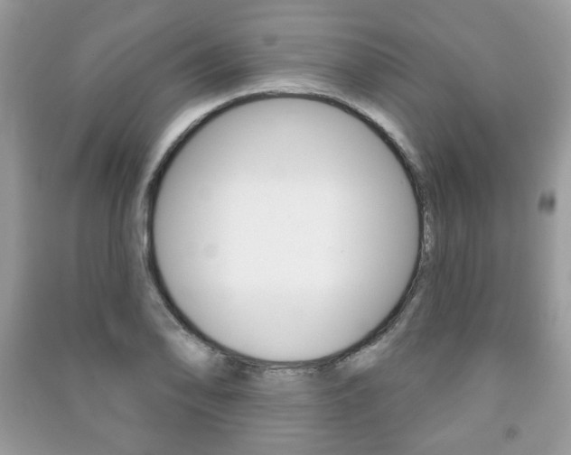 X0000091171078200708091019