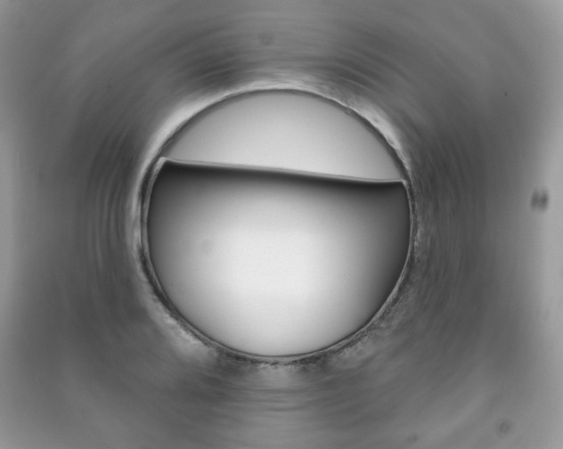 X0000091171080200708091019
