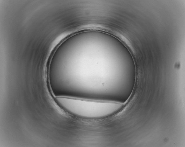 X0000091171082200708091019