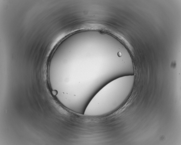 X0000091171083200708091019