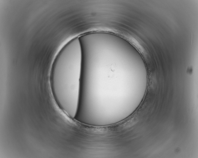 X0000091171084200708091019