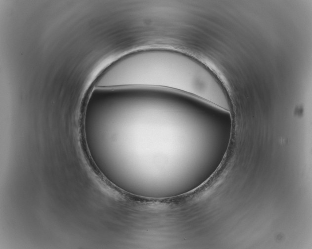 X0000091171085200708091019