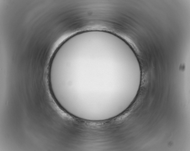 X0000091171086200708091018